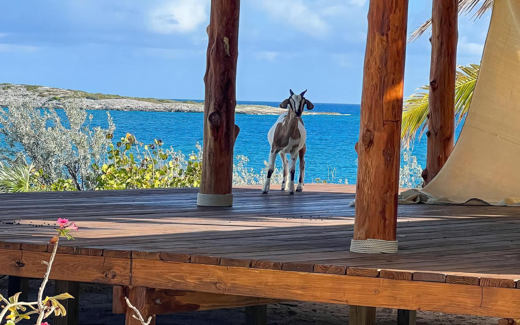 Ben's Cay – Private island in Bahamas, Caribbean